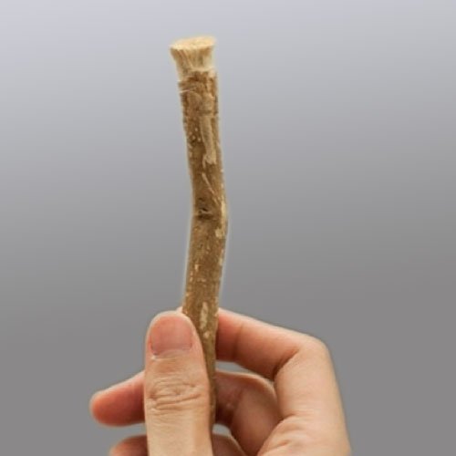 miswak