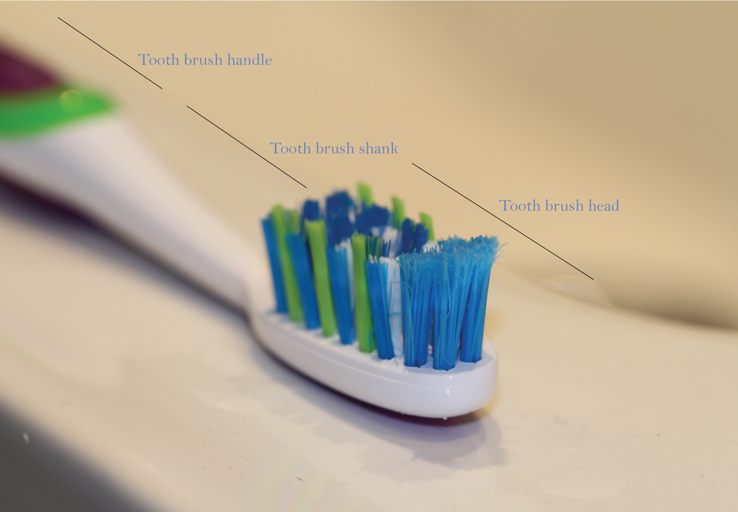 toothbrush parts